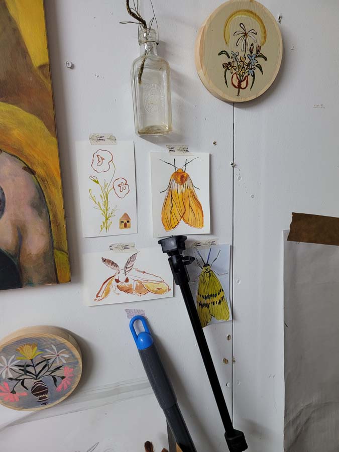 A photo of the artist's workspace, with drawings of moths.