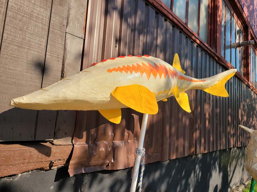 a lamp made out of a scale model of a sturgeon