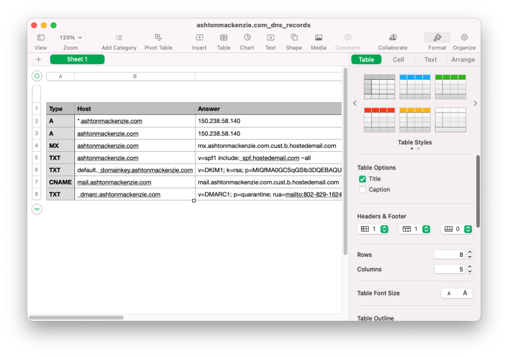 A screenshot of a DNS record export as CSV open in a spreadsheet editor.