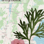 cover of zine "Vermont is my Home", a map of Vermont with floral motifs superimposed on it.