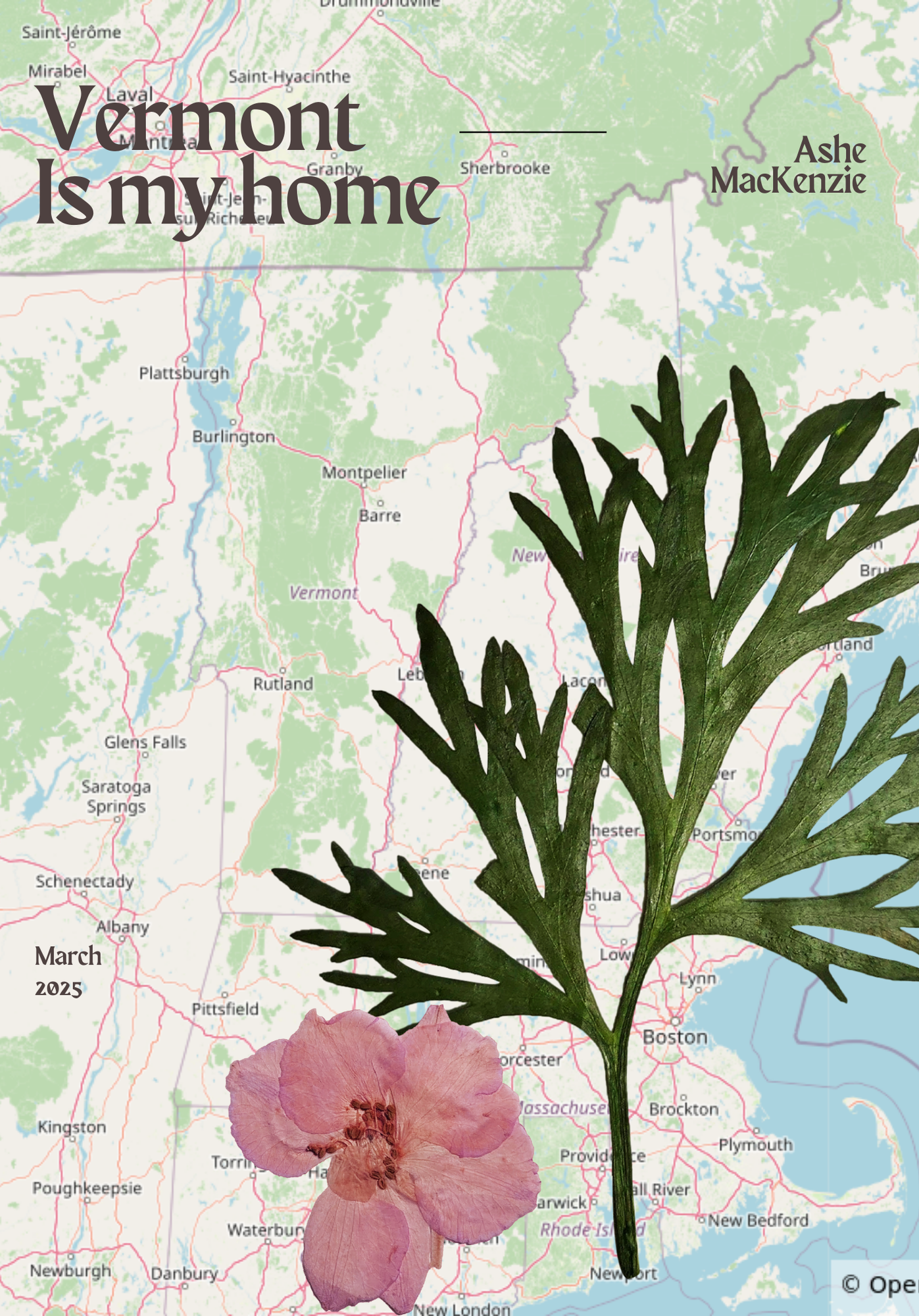 cover of zine "Vermont is my Home", a map of Vermont with floral motifs superimposed on it.